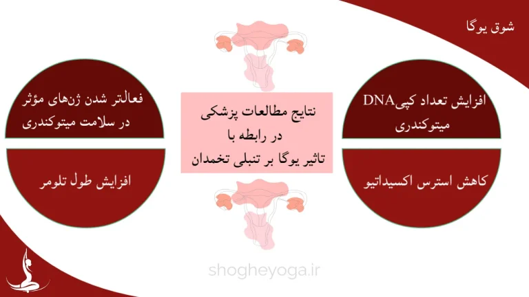 یوگا برای تنبلی تخمدان
